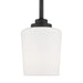 Myhouse Lighting Generation Lighting - 6102801-112 - One Light Mini-Pendant - Windom - Midnight Black