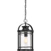 Myhouse Lighting Quoizel - BKR1510K - One Light Mini Pendant - Booker - Mystic Black