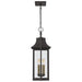 Myhouse Lighting Quoizel - MAN1511WT - Three Light Pendant - Manning - Western Bronze