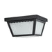 Myhouse Lighting Nuvo Lighting - 62-1572 - LED Flush Mount - Black