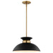 Myhouse Lighting Nuvo Lighting - 60-7460 - One Light Pendant - Perkins - Matte Black / Burnished Brass