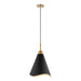 Myhouse Lighting Nuvo Lighting - 60-7473 - One Light Pendant - Tango - Matte Black / Burnished Brass