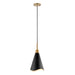 Myhouse Lighting Nuvo Lighting - 60-7476 - One Light Pendant - Tango - Matte Black / Burnished Brass