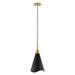 Myhouse Lighting Nuvo Lighting - 60-7476 - One Light Pendant - Tango - Matte Black / Burnished Brass