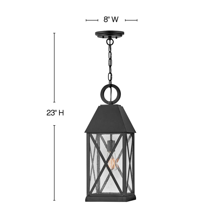 Myhouse Lighting Hinkley - 23302MB - LED Hanging Lantern - Briar - Museum Black