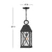 Myhouse Lighting Hinkley - 23302MB - LED Hanging Lantern - Briar - Museum Black