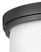 Myhouse Lighting Hinkley - 42801BK - LED Flush Mount - Montrose - Black