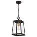 Myhouse Lighting Quoizel - AMBL1508WT - One Light Mini Pendant - Amberly Grove - Western Bronze