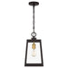 Myhouse Lighting Quoizel - AMBL1908WT - One Light Outdoor Hanging Lantern - Amberly Grove - Western Bronze