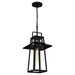 Myhouse Lighting Quoizel - DEV1910MBK - One Light Outdoor Hanging Lantern - Devonport - Matte Black