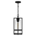 Myhouse Lighting Quoizel - DMN1507EK - One Light Mini Pendant - Damien - Earth Black