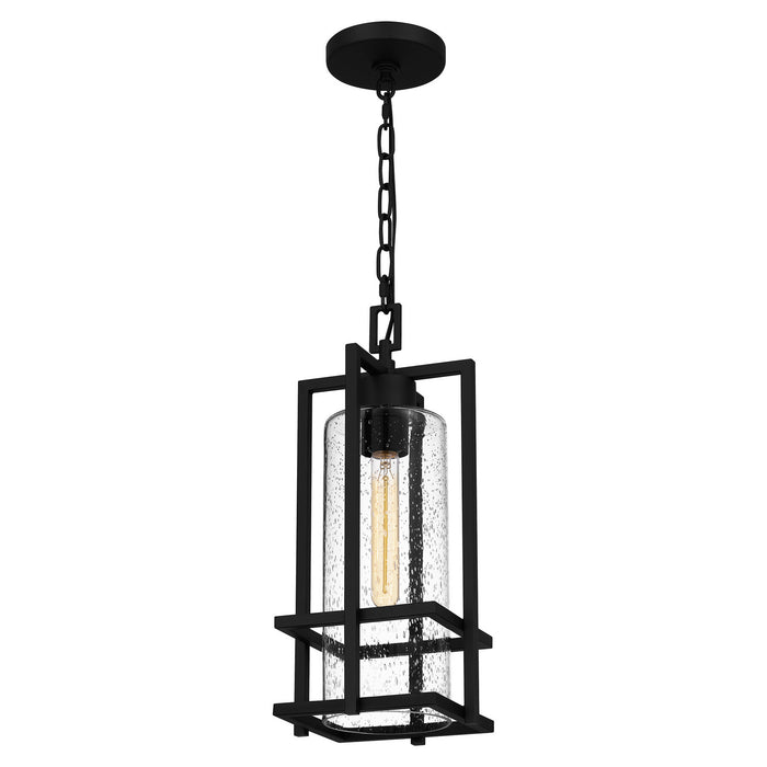 Myhouse Lighting Quoizel - DMN1907EK - One Light Outdoor Hanging Lantern - Damien - Earth Black