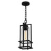 Myhouse Lighting Quoizel - DMN1907EK - One Light Outdoor Hanging Lantern - Damien - Earth Black