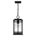 Myhouse Lighting Quoizel - MCL1508EK - One Light Mini Pendant - McAlister - Earth Black