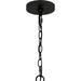 Myhouse Lighting Quoizel - BGA5021MBK - Six Light Chandelier - Brigitta - Matte Black