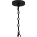 Myhouse Lighting Quoizel - BGA5030MBK - Eight Light Chandelier - Brigitta - Matte Black