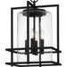 Myhouse Lighting Quoizel - DMN1514EK - Four Light Pendant - Damien - Earth Black