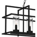 Myhouse Lighting Quoizel - DMN537EK - Five Light Island Chandelier - Damien - Earth Black