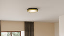 Myhouse Lighting Quoizel - WLN1611MBKG - LED Flush Mount - Weldin - Matte Black Gold