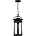 Myhouse Lighting Quoizel - CLI1909EK - One Light Outdoor Hanging Lantern - Clifton - Earth Black