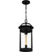 Myhouse Lighting Quoizel - CLI1909EK - One Light Outdoor Hanging Lantern - Clifton - Earth Black