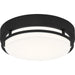 Myhouse Lighting Quoizel - HAL1612EK - LED Flush Mount - Hale - Earth Black