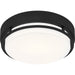 Myhouse Lighting Quoizel - HAL1612EK - LED Flush Mount - Hale - Earth Black