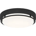 Myhouse Lighting Quoizel - HAL1614EK - LED Flush Mount - Hale - Earth Black