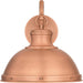 Myhouse Lighting Quoizel - JAM8414AC - One Light Outdoor Wall Mount - Jameson - Aged Copper