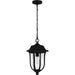 Myhouse Lighting Quoizel - MUL1909MBK - One Light Outdoor Hanging Lantern - Mulberry - Matte Black