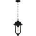 Myhouse Lighting Quoizel - MUL1909MBK - One Light Outdoor Hanging Lantern - Mulberry - Matte Black