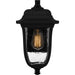 Myhouse Lighting Quoizel - MUL8408MBK - One Light Outdoor Wall Mount - Mulberry - Matte Black