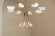 Myhouse Lighting Kichler - 52560CPZWH - Eight Light Chandelier - Arcus - Champagne Bronze