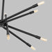 Myhouse Lighting Visual Comfort Studio - CC16612MBK - 12 Light Chandelier - Eastyn - Midnight Black