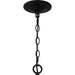 Myhouse Lighting Quoizel - AEA5026MBK - Five Light Chandelier - Althea - Matte Black