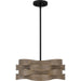 Myhouse Lighting Quoizel - APL2816MBK - Two Light Pendant - Appleton - Matte Black