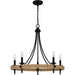 Myhouse Lighting Quoizel - CNI5026MBK - Five Light Chandelier - Catania - Matte Black