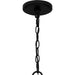 Myhouse Lighting Quoizel - CNI5026MBK - Five Light Chandelier - Catania - Matte Black