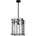 Myhouse Lighting Quoizel - DPN1512MBK - One Light Pendant - Daphne - Matte Black