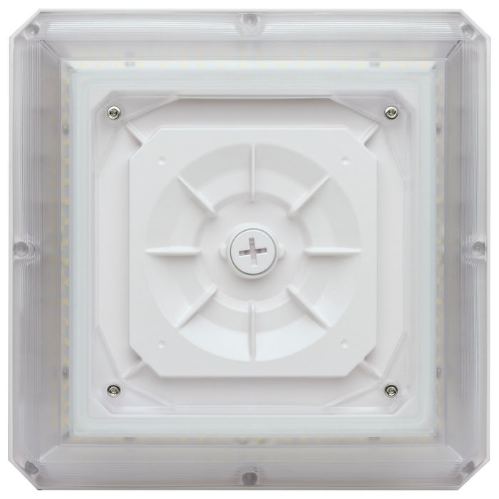 Myhouse Lighting Nuvo Lighting - 65-635 - LED Wide Beam Angle Canopy - White