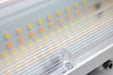 Myhouse Lighting Nuvo Lighting - 65-635 - LED Wide Beam Angle Canopy - White