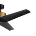 Myhouse Lighting Kichler - 330130NBR - 56"Ceiling Fan - Almere - Natural Brass