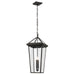 Myhouse Lighting Kichler - 59130OZ - Two Light Outdoor Pendant - Regence - Olde Bronze