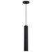 Myhouse Lighting Nuvo Lighting - 62-816 - LED Pendant - Century - Matte Black