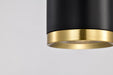 Myhouse Lighting Nuvo Lighting - 62-818 - LED Pendant - Century - Matte Black / Brushed Brass