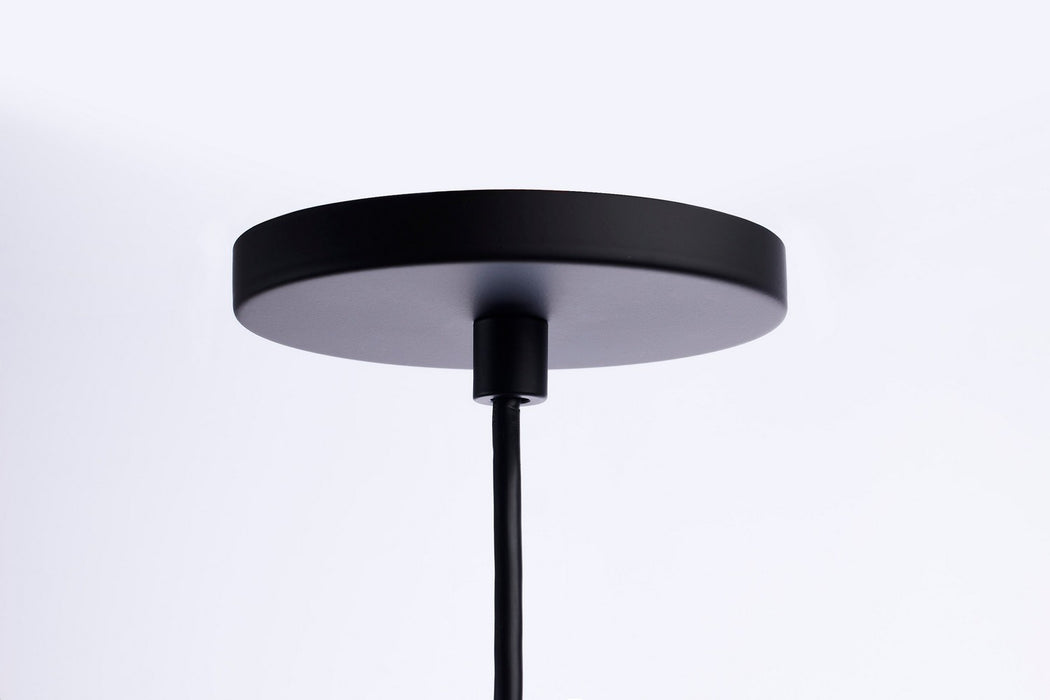 Myhouse Lighting Nuvo Lighting - 62-819 - LED Pendant - Century - Matte Black / Brushed Nickel