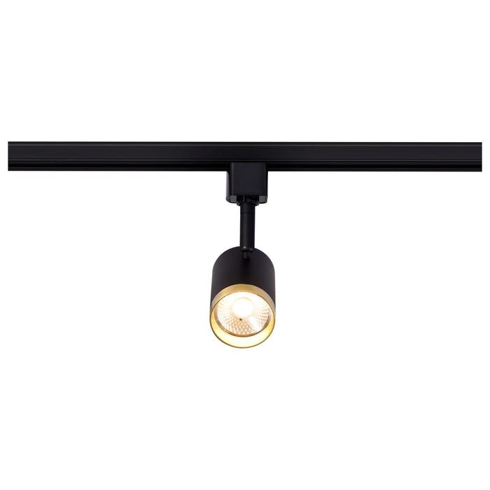 Myhouse Lighting Nuvo Lighting - TH637 - LED Track Head - Matte Black / Brushed Brass