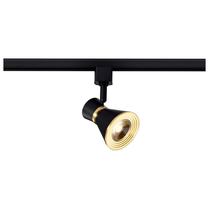 Myhouse Lighting Nuvo Lighting - TH643 - LED Track Head - Matte Black / Brushed Brass