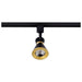 Myhouse Lighting Nuvo Lighting - TH643 - LED Track Head - Matte Black / Brushed Brass