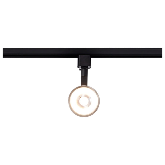 Myhouse Lighting Nuvo Lighting - TH646 - LED Track Head - Matte Black / Brushed Nickel